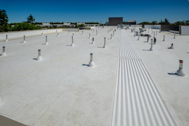 Best Rubber Roofing (EPDM, TPO)  in Marcellus, MI